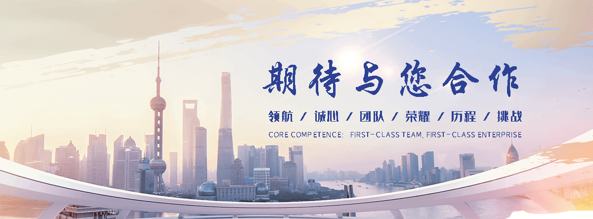 绵阳电子地磅